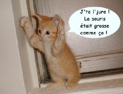 es vrai